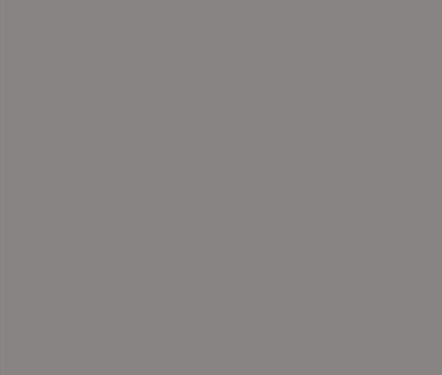 Cartolina 185gr 1 Folha 50x65cm Cinza Pérola Iris Canson
